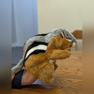 Folkmanis Chipmunk 🐿️ Hand puppet.  8 Inches. EUC